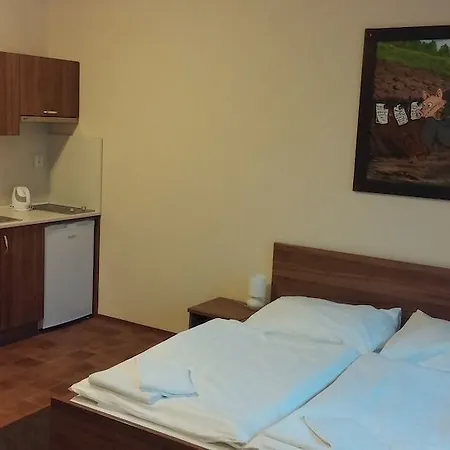 U Svejku Apartment