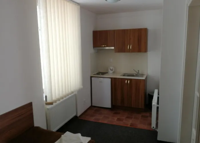 Appartement U Svejku *