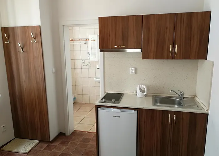 U Svejku Apartment *